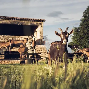 Le Domaine Du Castellas Sivergues
